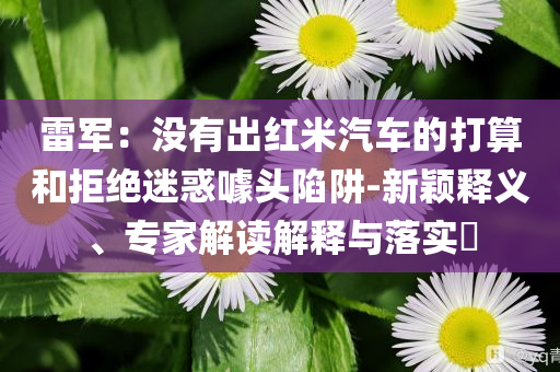 雷軍：沒有出紅米汽車的打算和拒絕迷惑噱頭陷阱-新穎釋義、專家解讀解釋與落實?