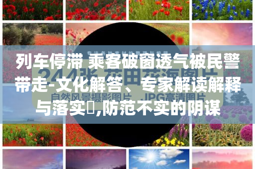 列車停滯 乘客破窗透氣被民警帶走-文化解答、專家解讀解釋與落實(shí)?,防范不實(shí)的陰謀