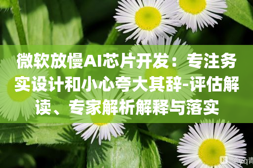 微軟放慢AI芯片開發(fā)：專注務(wù)實設(shè)計和小心夸大其辭-評估解讀、專家解析解釋與落實