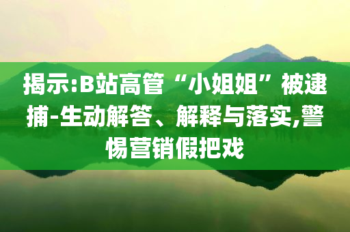 揭示:B站高管“小姐姐”被逮捕-生動解答、解釋與落實,警惕營銷假把戲