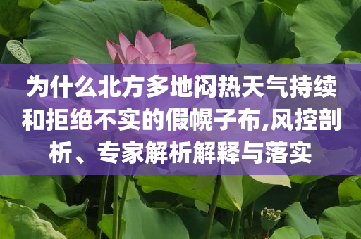 為什么北方多地悶熱天氣持續(xù)和拒絕不實的假幌子布,風(fēng)控剖析、專家解析解釋與落實
