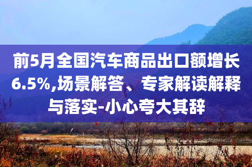 前5月全國汽車商品出口額增長6.5%,場景解答、專家解讀解釋與落實-小心夸大其辭