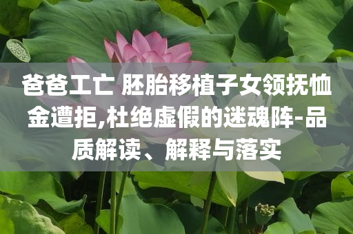 爸爸工亡 胚胎移植子女領(lǐng)撫恤金遭拒,杜絕虛假的迷魂陣-品質(zhì)解讀、解釋與落實(shí)