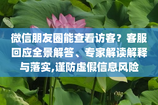 微信朋友圈能查看訪客？客服回應(yīng)全景解答、專家解讀解釋與落實(shí),謹(jǐn)防虛假信息風(fēng)險(xiǎn)