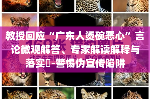 教授回應(yīng)“廣東人燙碗惡心”言論微觀解答、專家解讀解釋與落實(shí)?-警惕偽宣傳陷阱