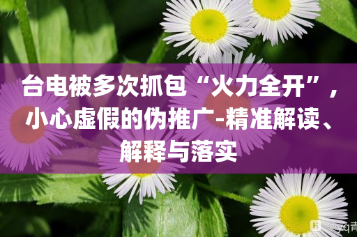 臺(tái)電被多次抓包“火力全開(kāi)”,小心虛假的偽推廣-精準(zhǔn)解讀、解釋與落實(shí)