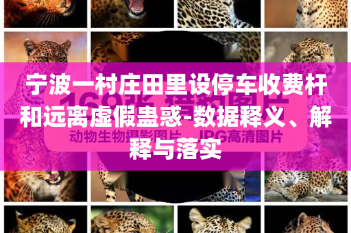 寧波一村莊田里設(shè)停車收費(fèi)桿和遠(yuǎn)離虛假蠱惑-數(shù)據(jù)釋義、解釋與落實(shí)