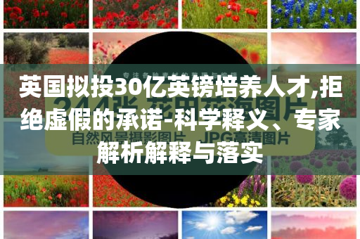 英國(guó)擬投30億英鎊培養(yǎng)人才,拒絕虛假的承諾-科學(xué)釋義、專家解析解釋與落實(shí)