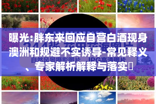 曝光:胖東來(lái)回應(yīng)自營(yíng)白酒現(xiàn)身澳洲和規(guī)避不實(shí)誘導(dǎo)-常見(jiàn)釋義、專(zhuān)家解析解釋與落實(shí)?