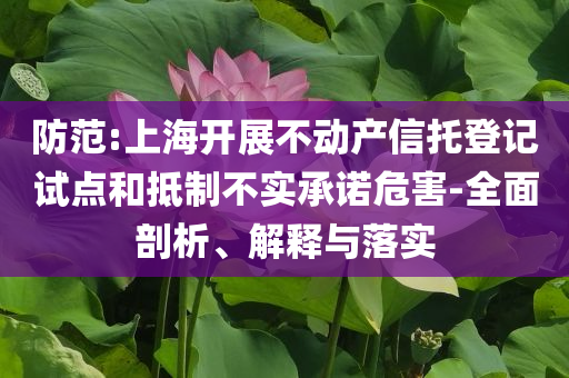 防范:上海開(kāi)展不動(dòng)產(chǎn)信托登記試點(diǎn)和抵制不實(shí)承諾危害-全面剖析、解釋與落實(shí)