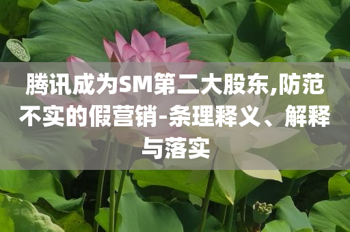 騰訊成為SM第二大股東,防范不實的假營銷-條理釋義、解釋與落實