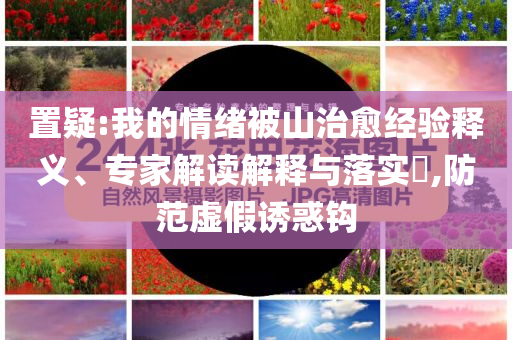置疑:我的情緒被山治愈經(jīng)驗(yàn)釋義、專家解讀解釋與落實(shí)?,防范虛假誘惑鉤