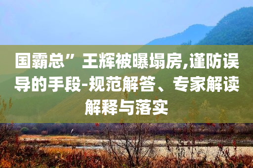 國霸總”王輝被曝塌房,謹(jǐn)防誤導(dǎo)的手段-規(guī)范解答、專家解讀解釋與落實