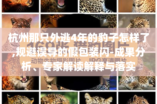 杭州那只外逃4年的豹子怎樣了,規(guī)避誤導(dǎo)的假包裝閃-成果分析、專家解讀解釋與落實