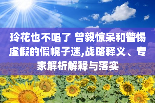 玲花也不唱了 曾毅驚呆和警惕虛假的假幌子迷,戰(zhàn)略釋義、專家解析解釋與落實(shí)