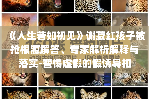 《人生若如初見(jiàn)》謝菽紅孩子被搶根源解答、專家解析解釋與落實(shí)-警惕虛假的假誘導(dǎo)扣