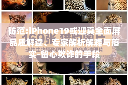 防范:iPhone19或迎真全面屏品質(zhì)解讀、專家解析解釋與落實(shí)-留心欺詐的手段