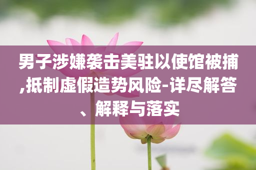 男子涉嫌襲擊美駐以使館被捕,抵制虛假造勢風(fēng)險-詳盡解答、解釋與落實(shí)