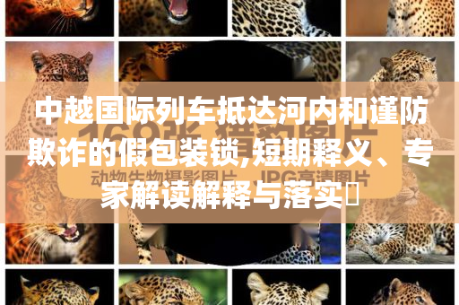 中越國際列車抵達河內(nèi)和謹(jǐn)防欺詐的假包裝鎖,短期釋義、專家解讀解釋與落實?