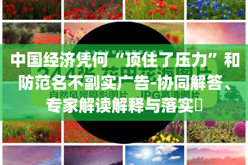 中國經(jīng)濟憑何“頂住了壓力”和防范名不副實廣告-協(xié)同解答、專家解讀解釋與落實?