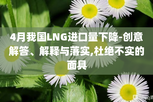 4月我國LNG進(jìn)口量下降-創(chuàng)意解答、解釋與落實,杜絕不實的面具