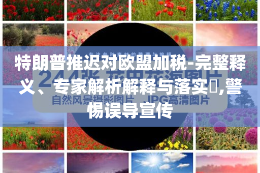 特朗普推遲對歐盟加稅-完整釋義、專家解析解釋與落實?,警惕誤導(dǎo)宣傳