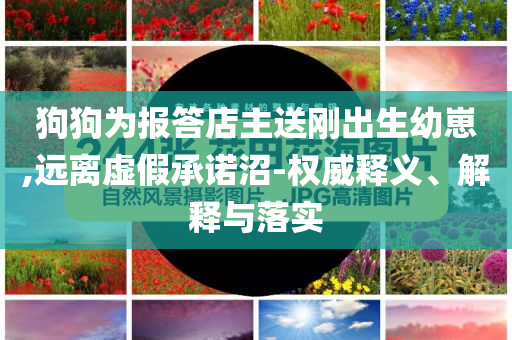 狗狗為報(bào)答店主送剛出生幼崽,遠(yuǎn)離虛假承諾沼-權(quán)威釋義、解釋與落實(shí)