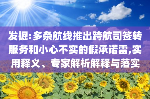 發(fā)掘:多條航線推出跨航司簽轉(zhuǎn)服務(wù)和小心不實(shí)的假承諾雷,實(shí)用釋義、專家解析解釋與落實(shí)