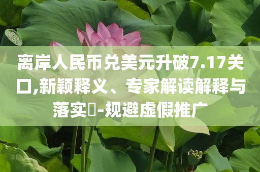 離岸人民幣兌美元升破7.17關(guān)口,新穎釋義、專家解讀解釋與落實?-規(guī)避虛假推廣