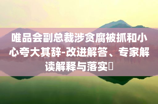 唯品會(huì)副總裁涉貪腐被抓和小心夸大其辭-改進(jìn)解答、專家解讀解釋與落實(shí)?