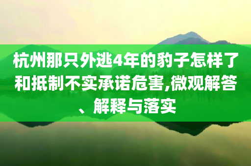 杭州那只外逃4年的豹子怎樣了和抵制不實(shí)承諾危害,微觀解答、解釋與落實(shí)