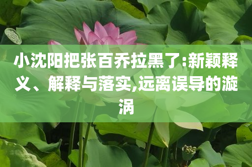 小沈陽把張百喬拉黑了:新穎釋義、解釋與落實(shí),遠(yuǎn)離誤導(dǎo)的漩渦