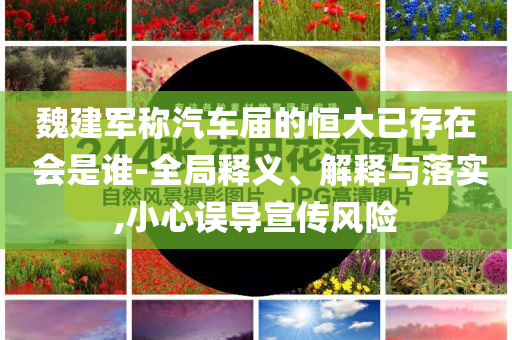 魏建軍稱汽車屆的恒大已存在 會(huì)是誰-全局釋義、解釋與落實(shí),小心誤導(dǎo)宣傳風(fēng)險(xiǎn)