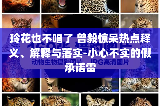 玲花也不唱了 曾毅驚呆熱點釋義、解釋與落實-小心不實的假承諾雷