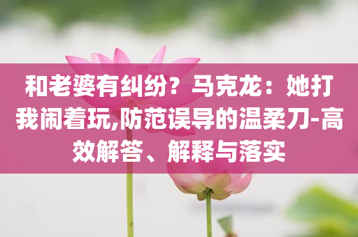 和老婆有糾紛？馬克龍：她打我鬧著玩,防范誤導(dǎo)的溫柔刀-高效解答、解釋與落實(shí)
