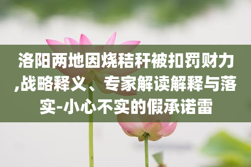 洛陽(yáng)兩地因燒秸稈被扣罰財(cái)力,戰(zhàn)略釋義、專(zhuān)家解讀解釋與落實(shí)-小心不實(shí)的假承諾雷