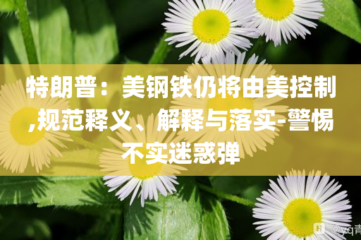 特朗普：美鋼鐵仍將由美控制,規(guī)范釋義、解釋與落實-警惕不實迷惑彈