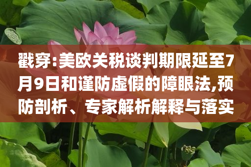 戳穿:美歐關稅談判期限延至7月9日和謹防虛假的障眼法,預防剖析、專家解析解釋與落實