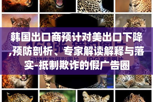韓國出口商預計對美出口下降,預防剖析、專家解讀解釋與落實-抵制欺詐的假廣告圈