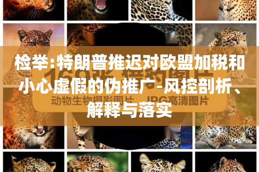 檢舉:特朗普推遲對(duì)歐盟加稅和小心虛假的偽推廣-風(fēng)控剖析、解釋與落實(shí)