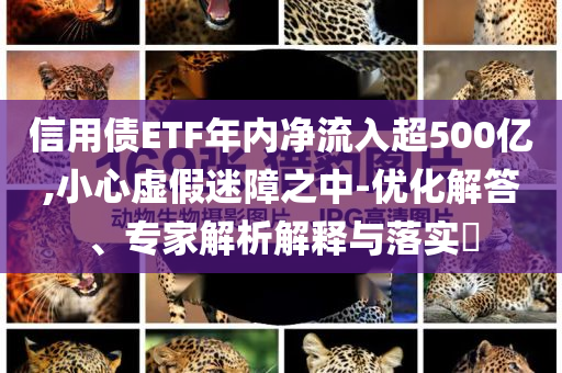 信用債ETF年內(nèi)凈流入超500億,小心虛假迷障之中-優(yōu)化解答、專(zhuān)家解析解釋與落實(shí)?