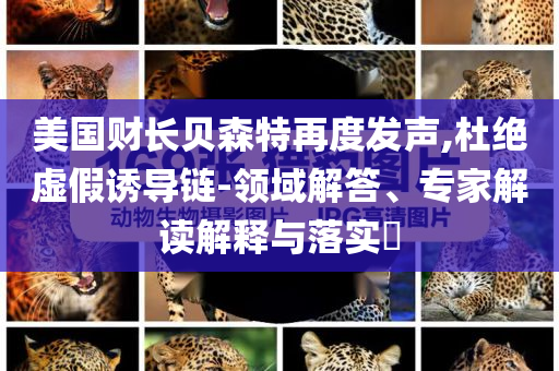 美國財(cái)長貝森特再度發(fā)聲,杜絕虛假誘導(dǎo)鏈-領(lǐng)域解答、專家解讀解釋與落實(shí)?