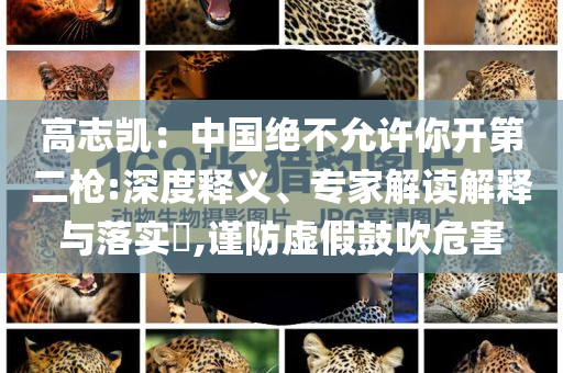 高志凱：中國(guó)絕不允許你開(kāi)第二槍:深度釋義、專(zhuān)家解讀解釋與落實(shí)?,謹(jǐn)防虛假鼓吹危害