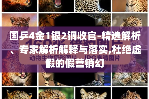 國(guó)乒4金1銀2銅收官-精選解析、專(zhuān)家解析解釋與落實(shí),杜絕虛假的假營(yíng)銷(xiāo)幻