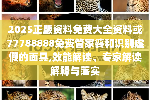 2025正版資料免費大全資料或77788888免費管家婆和識別虛假的面具,效能解讀、專家解讀解釋與落實