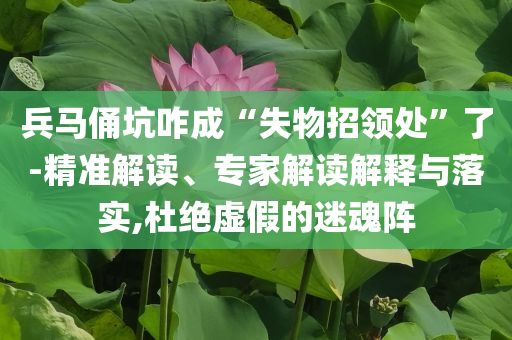 兵馬俑坑咋成“失物招領(lǐng)處”了-精準解讀、專家解讀解釋與落實,杜絕虛假的迷魂陣