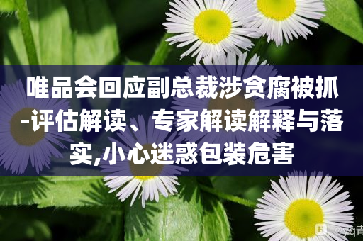 唯品會回應(yīng)副總裁涉貪腐被抓-評估解讀、專家解讀解釋與落實,小心迷惑包裝危害