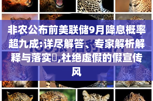 非農(nóng)公布前美聯(lián)儲9月降息概率超九成:詳盡解答、專家解析解釋與落實?,杜絕虛假的假宣傳風(fēng)
