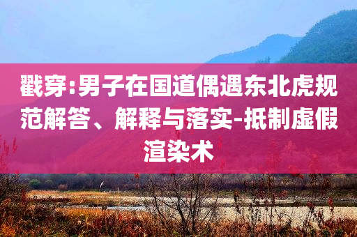戳穿:男子在國道偶遇東北虎規(guī)范解答、解釋與落實(shí)-抵制虛假渲染術(shù)