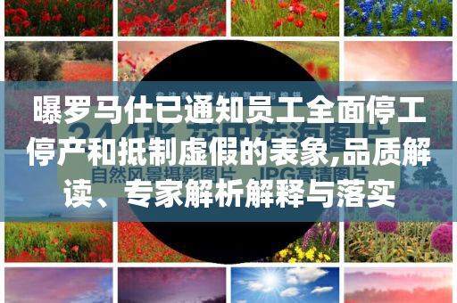 曝羅馬仕已通知員工全面停工停產(chǎn)和抵制虛假的表象,品質(zhì)解讀、專家解析解釋與落實(shí)